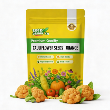 Cauliflower Seeds- Orange