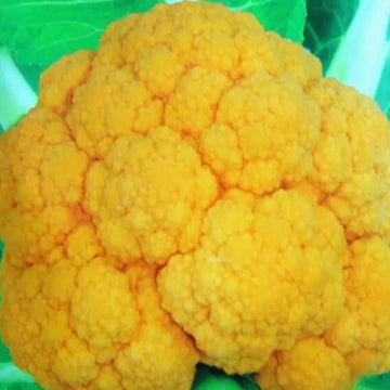 Cauliflower Seeds- Orange