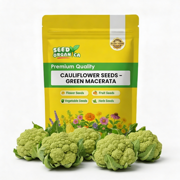 Cauliflower Seeds – Green Macerata