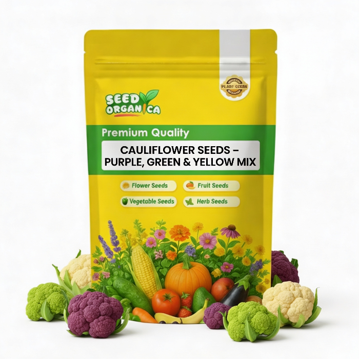 Cauliflower Seeds – Purple, Green & Yellow Mix