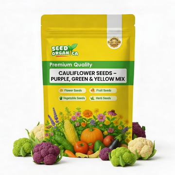 Cauliflower Seeds – Purple, Green & Yellow Mix