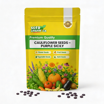 Cauliflower Seeds – Purple Sicily
