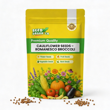 Cauliflower Seeds – Romanesco Broccoli
