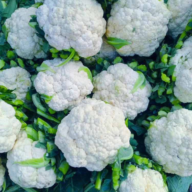 Cauliflower Seeds – Snowball
