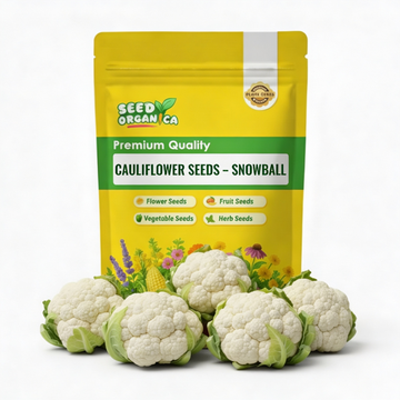 Cauliflower Seeds – Snowball