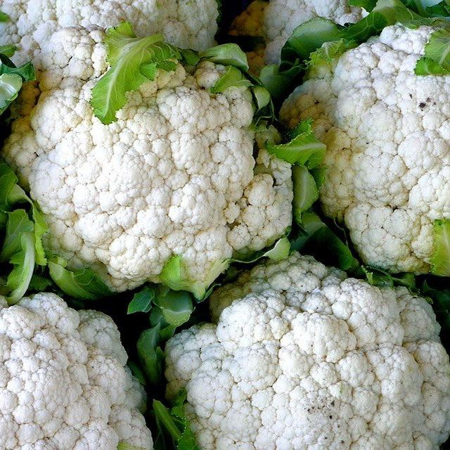 Cauliflower Seeds – Snowball

