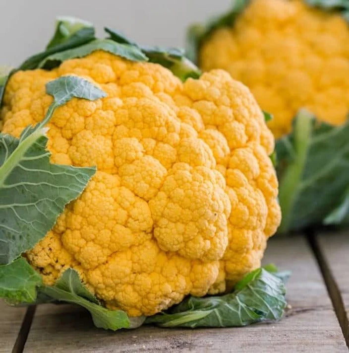 Cauliflower Seeds – Yellow
