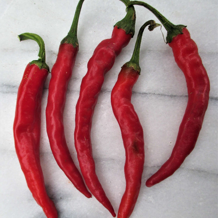 Cayenne Pepper Seeds – Long Red Hot
