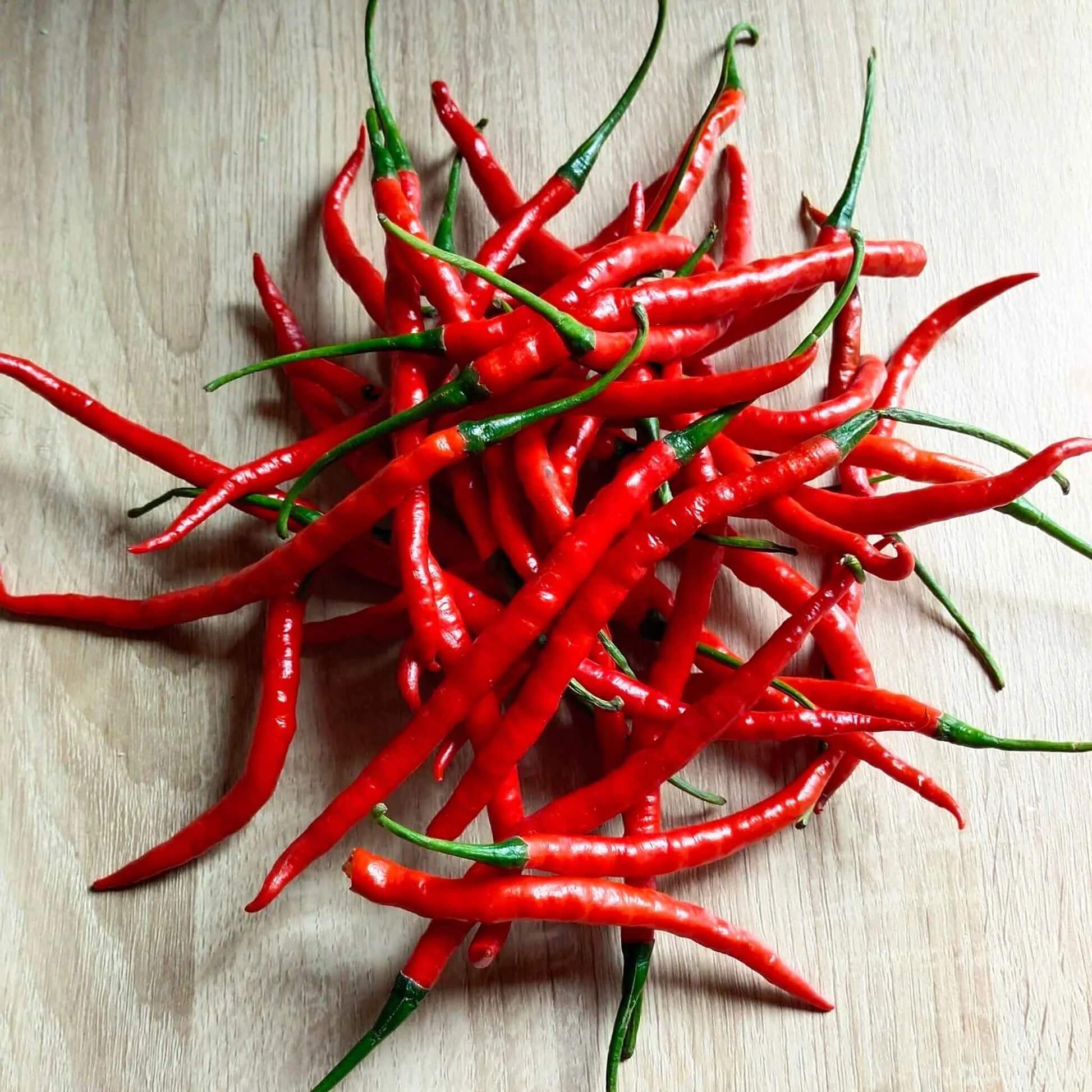 Cayenne Pepper Seeds – Long Red Hot