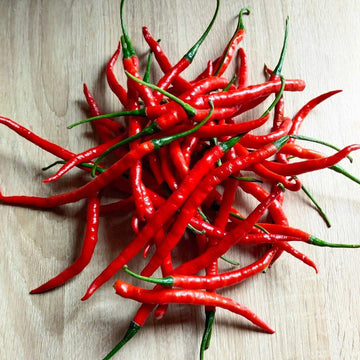 Cayenne Pepper Seeds – Long Red Hot