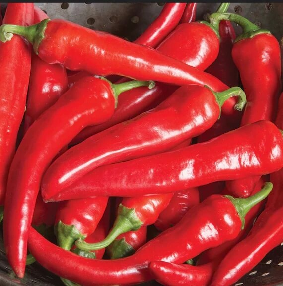 Cayenne Pepper Seeds – Red Thick