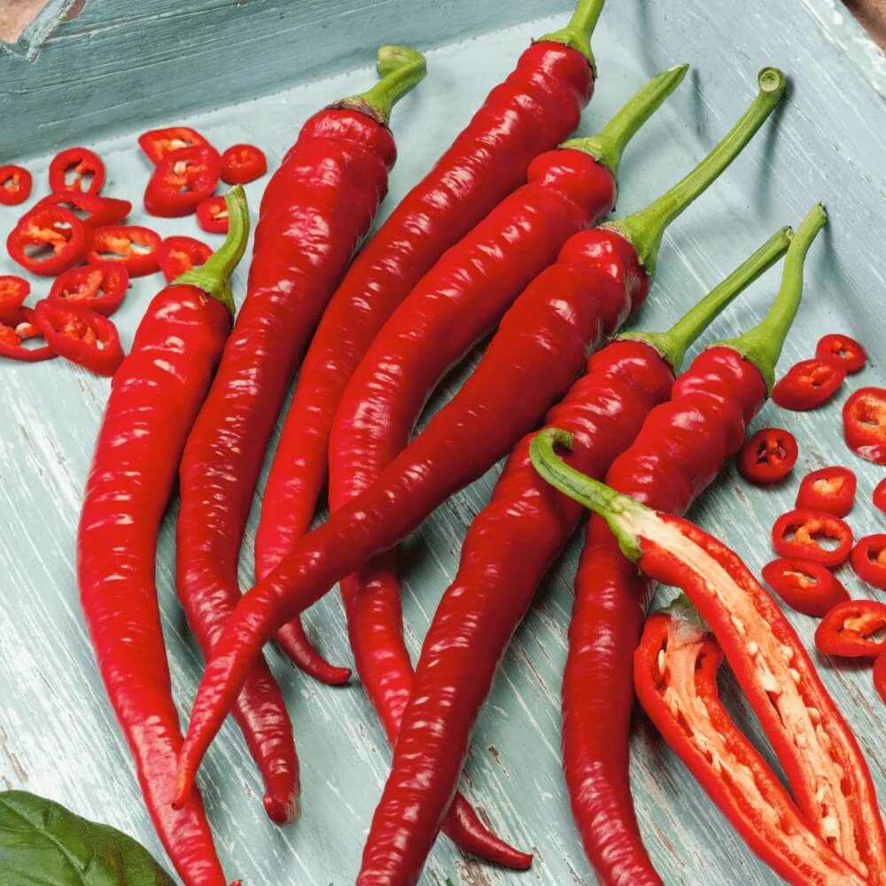 Cayenne Pepper Seeds – Red Thick