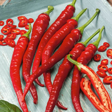 Cayenne Pepper Seeds – Red Thick