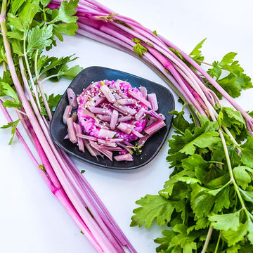 Celery Seeds – Pink Plume
