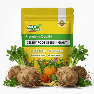 Celery Root Seeds – Giant