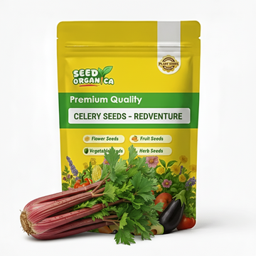 Celery Seeds – Redventure