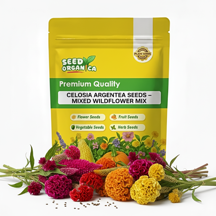 Celosia Argentea Seeds – Mixed Wildflower Mix