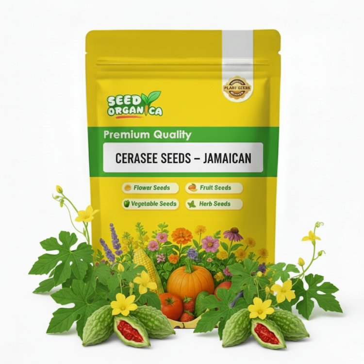 Cerasee Seeds – Jamaican
