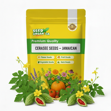 Cerasee Seeds – Jamaican