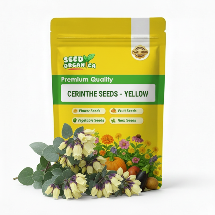 Cerinthe Seeds – Yellow