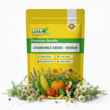 Chamomile Seeds – Roman