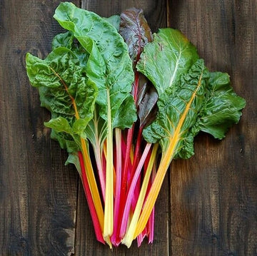 Chard Seeds – Rainbow