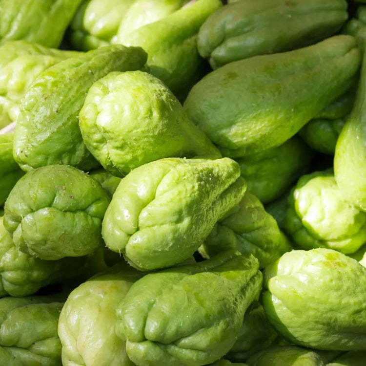 Chayote Seeds For Planting - Vegetable Plant