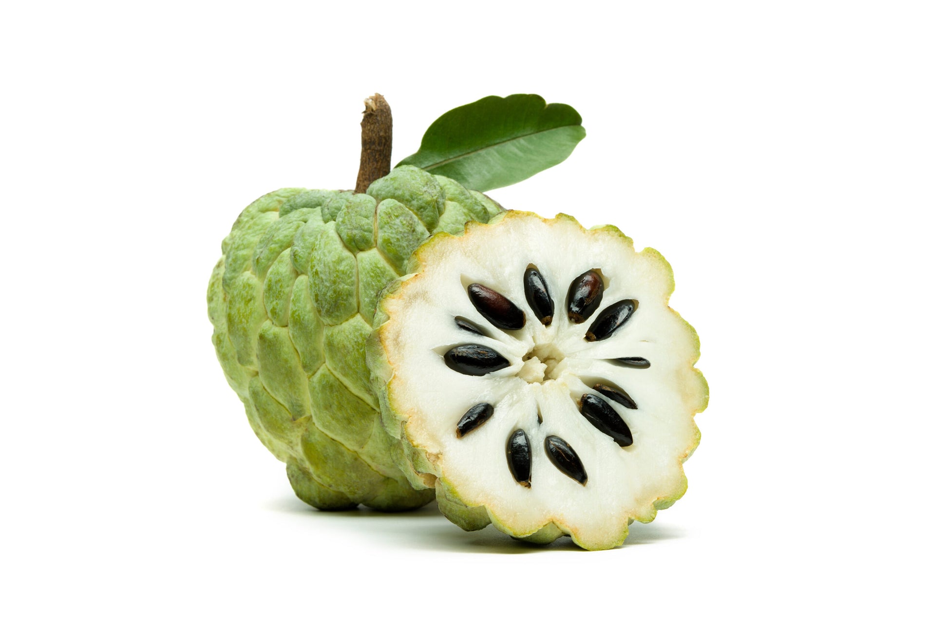 Cherimoya Seeds – Tropical
