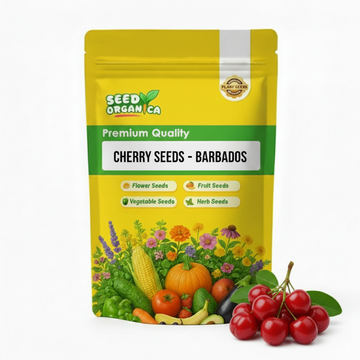 Cherry Seeds – Barbados