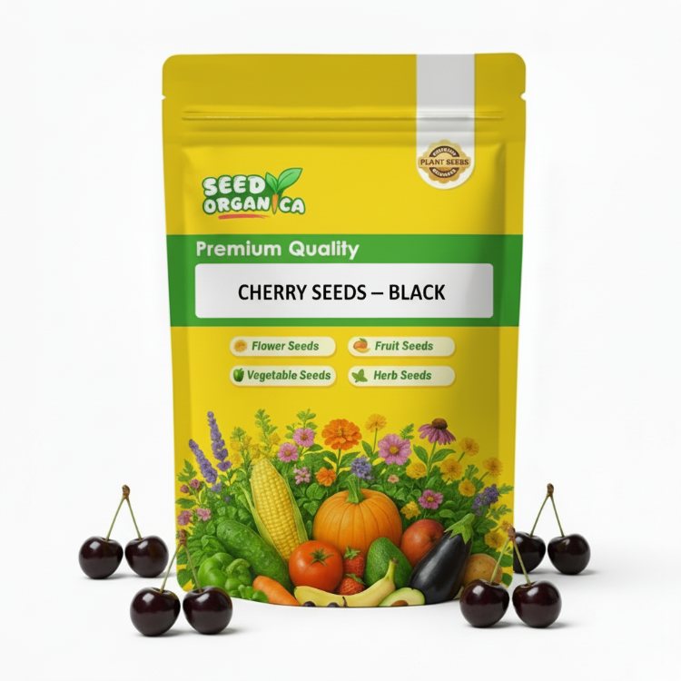 Cherry Seeds – Black