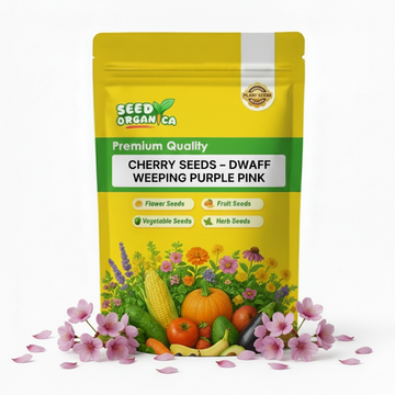 Cherry Seeds – Dwarf Weeping Purple Pink