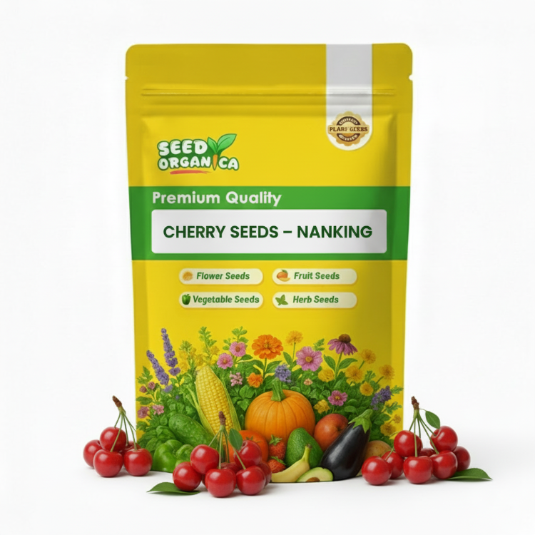 Cherry Seeds – Nanking