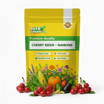 Cherry Seeds – Nanking