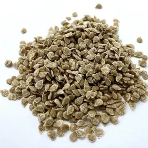 Cherry Tomato Seeds - All In One For Home Gardens