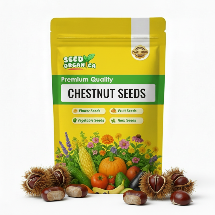 Chestnut Seeds