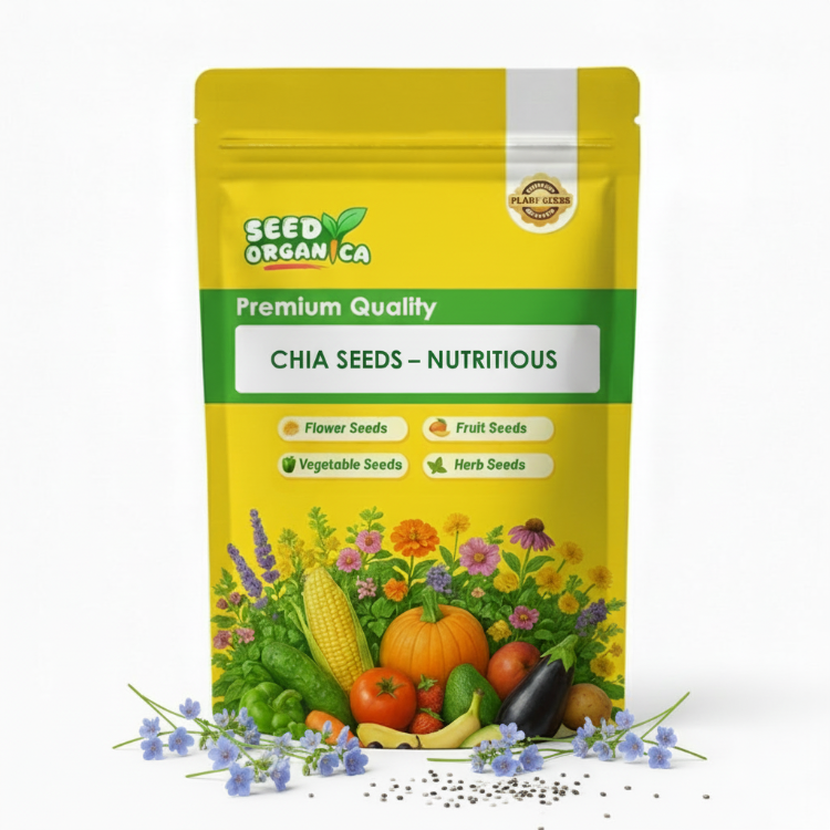 Chia Seeds – Nutritious