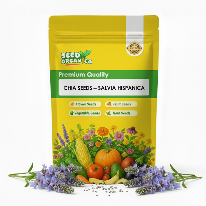 Chia Seeds – Salvia hispanica