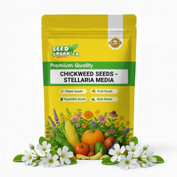 Chickweed Seeds – Stellaria media