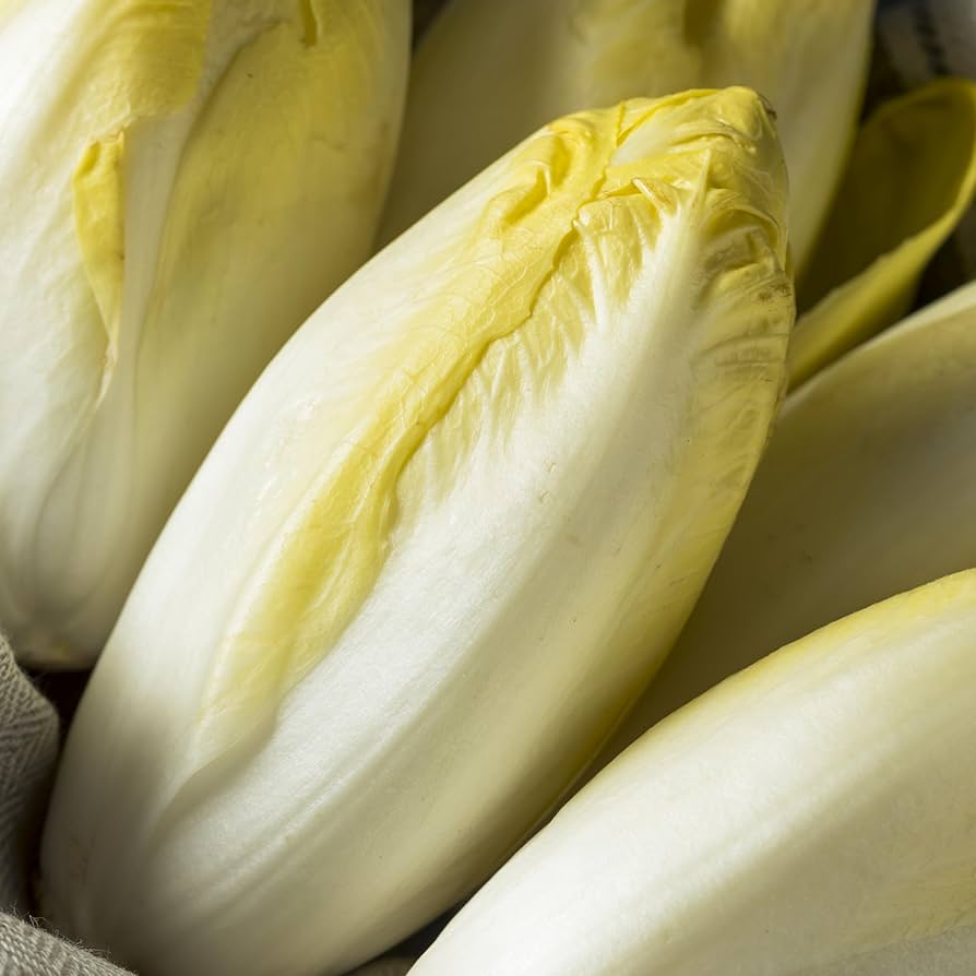 Chicory Seeds – Yellow
