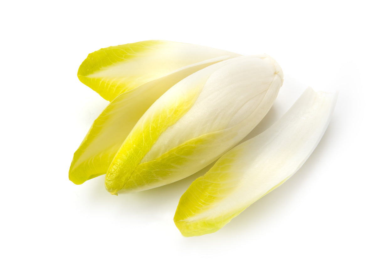 Chicory Seeds – Yellow
