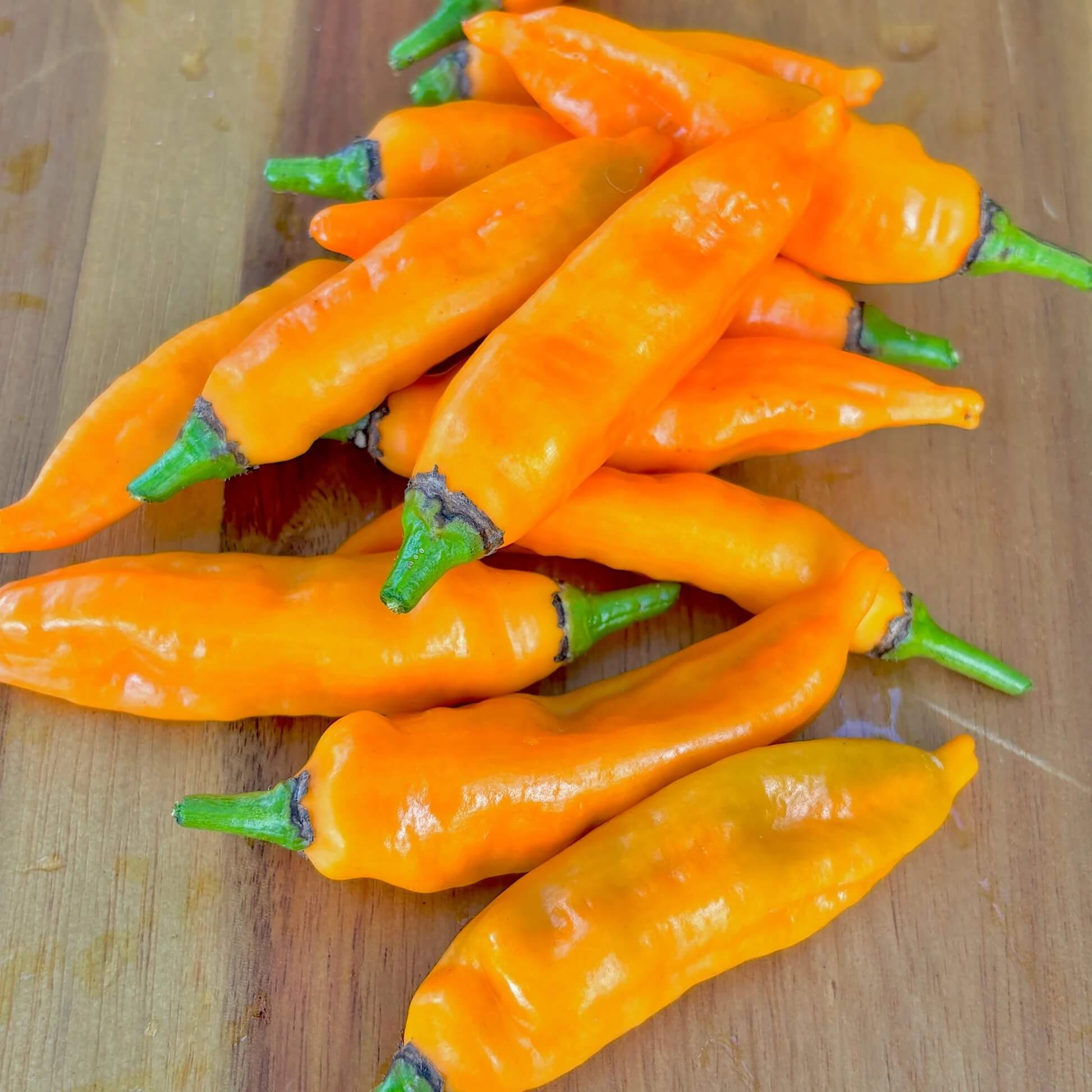  Chile Pepper Seeds - Aji Mango