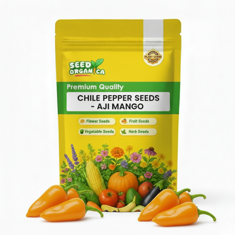 Chile Pepper Seeds - Aji Mango