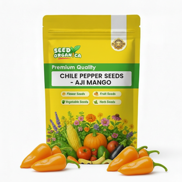 Chile Pepper Seeds - Aji Mango