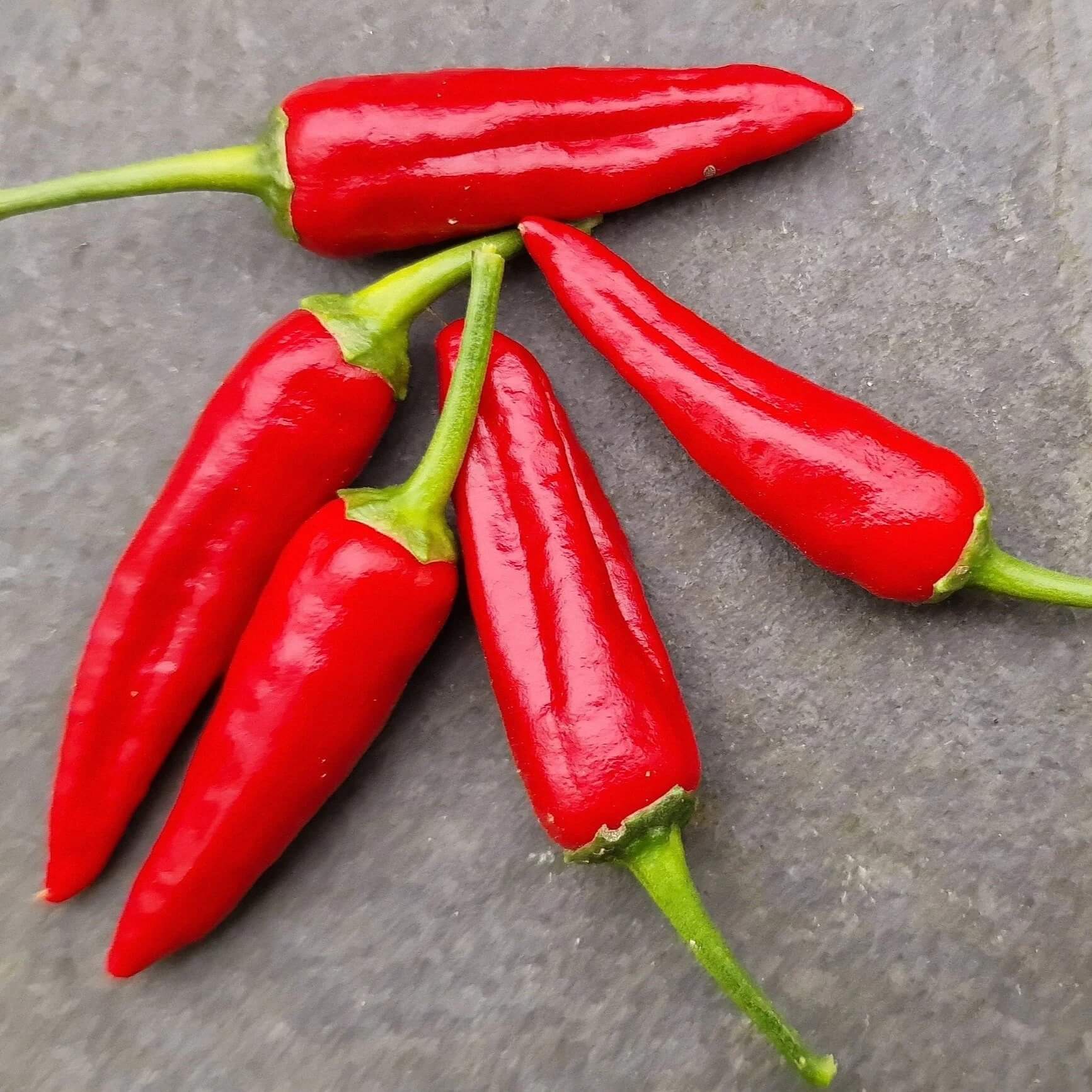 Chili Pepper Seeds - Apache