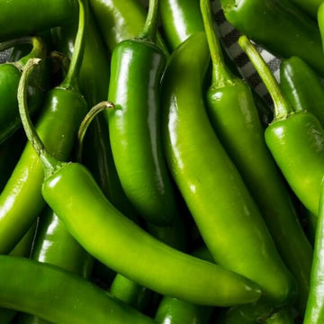 Chili Pepper Seeds – Capsicum annuum