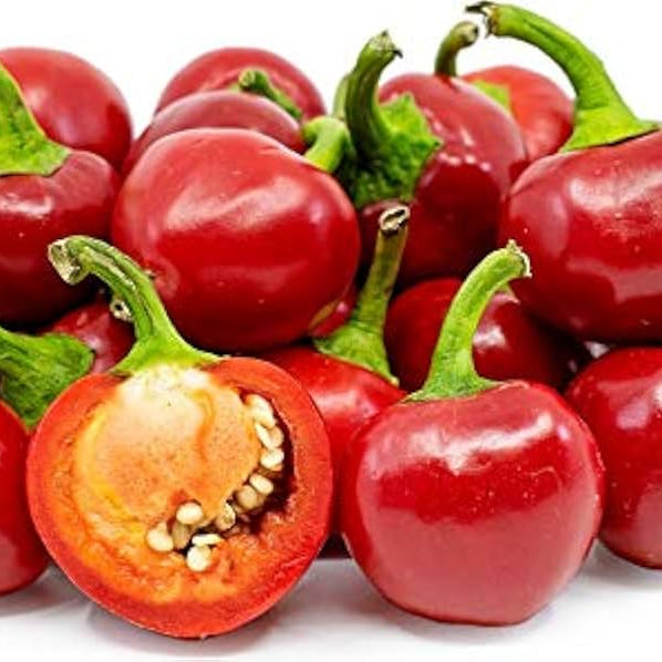 Chili Pepper Seeds – Red Manzano
