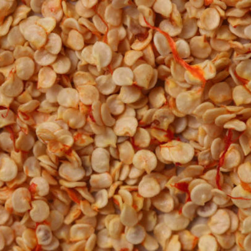 Chili Pepper Seeds - All In One For Home Gardens