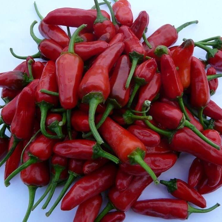 Chili Pepper Seeds - Apache