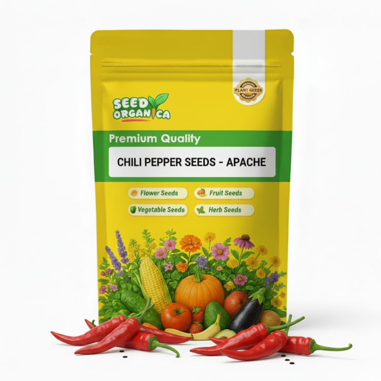 Chili Pepper Seeds - Apache