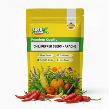 Chili Pepper Seeds - Apache